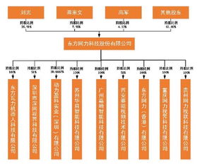 东方网力科技股份2015年年度报告摘要 聚焦信息网络经营的战略布局与成果